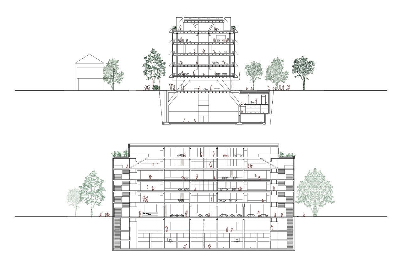 Schulanlage Utogrund Siegerprojekt DÜRRENMATT ‒ Schnitte (Plan: ARGE bernath+widmer Architekten AG / Marco Duarte Architekten, Zürich)
